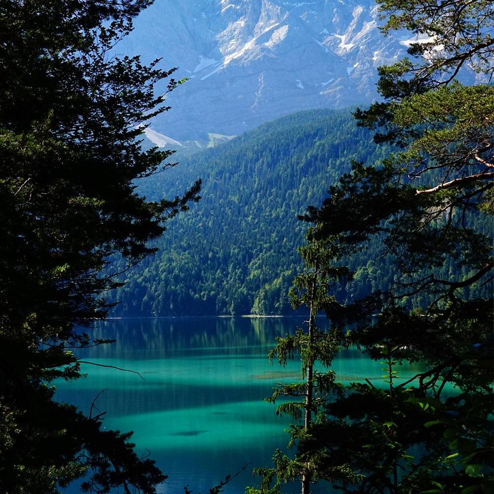 A beautiful view of a mountain lake surrounded by trees, with crystal clear turquoise water